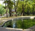 park sa jezercetom u Niškoj Banji